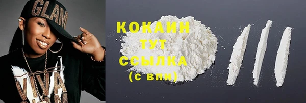 мет Ладушкин
