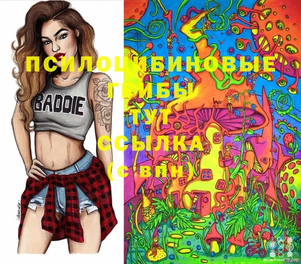 спиды Липки