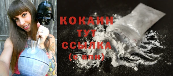 мет Ладушкин