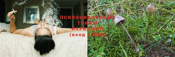 ALPHA PVP Лиски