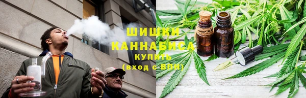 мет Ладушкин