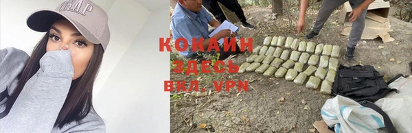 герыч Ростов
