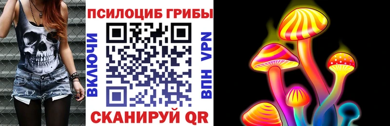 Псилоцибиновые грибы Psilocybine cubensis  omg зеркало  Сухой Лог 