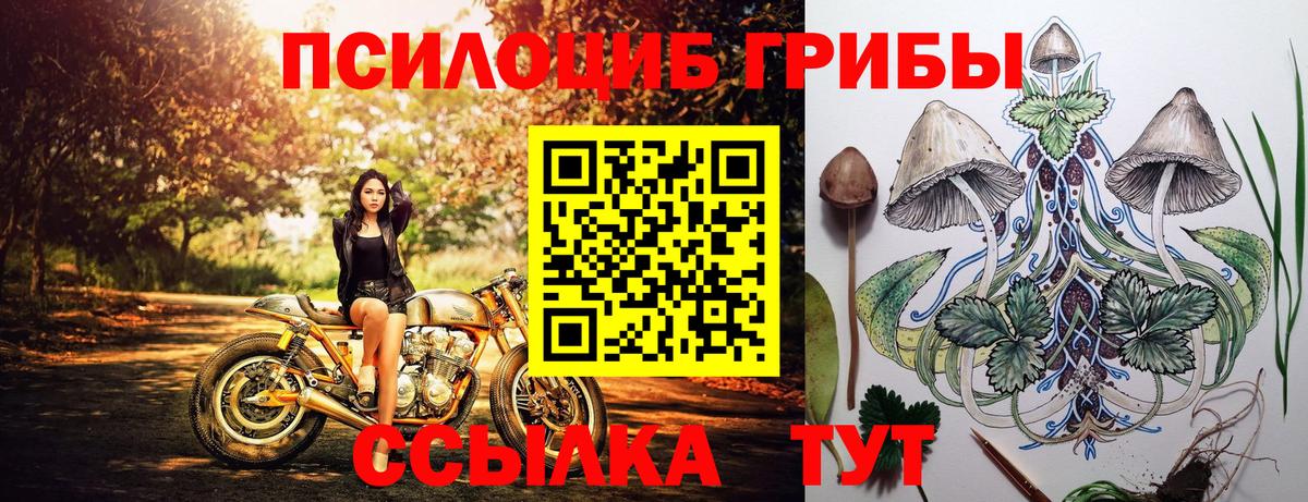 Псилоцибиновые грибы прущие грибы  Вход с VPN  наркота  Сухой Лог 