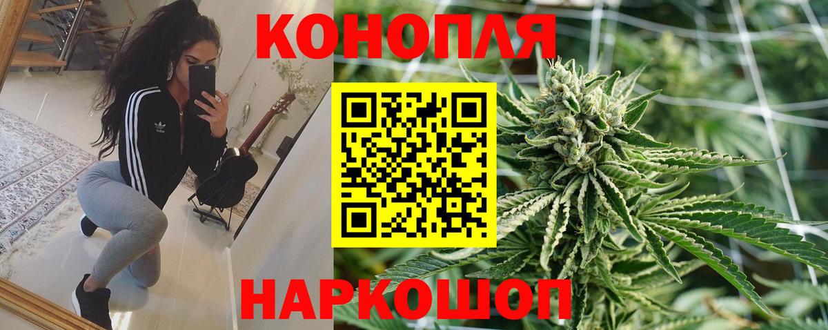 Конопля гибрид Сухой Лог